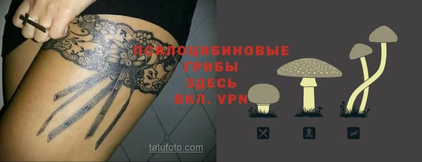 героин Алексин