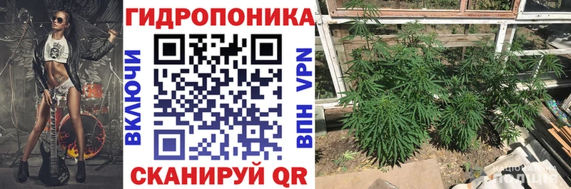 Шишки марихуана планчик  что такое   Красноуральск 
